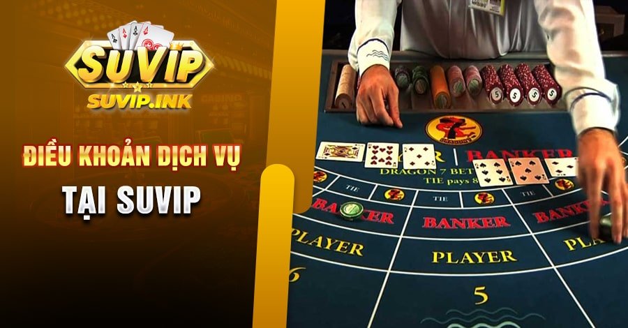 Điều Khoản Dịch Vụ Suvip Mà Người Chơi Cần Nắm Rõ
